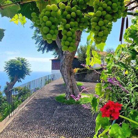 Torre Bella Gardens Villa Arco da Calheta  Exterior photo