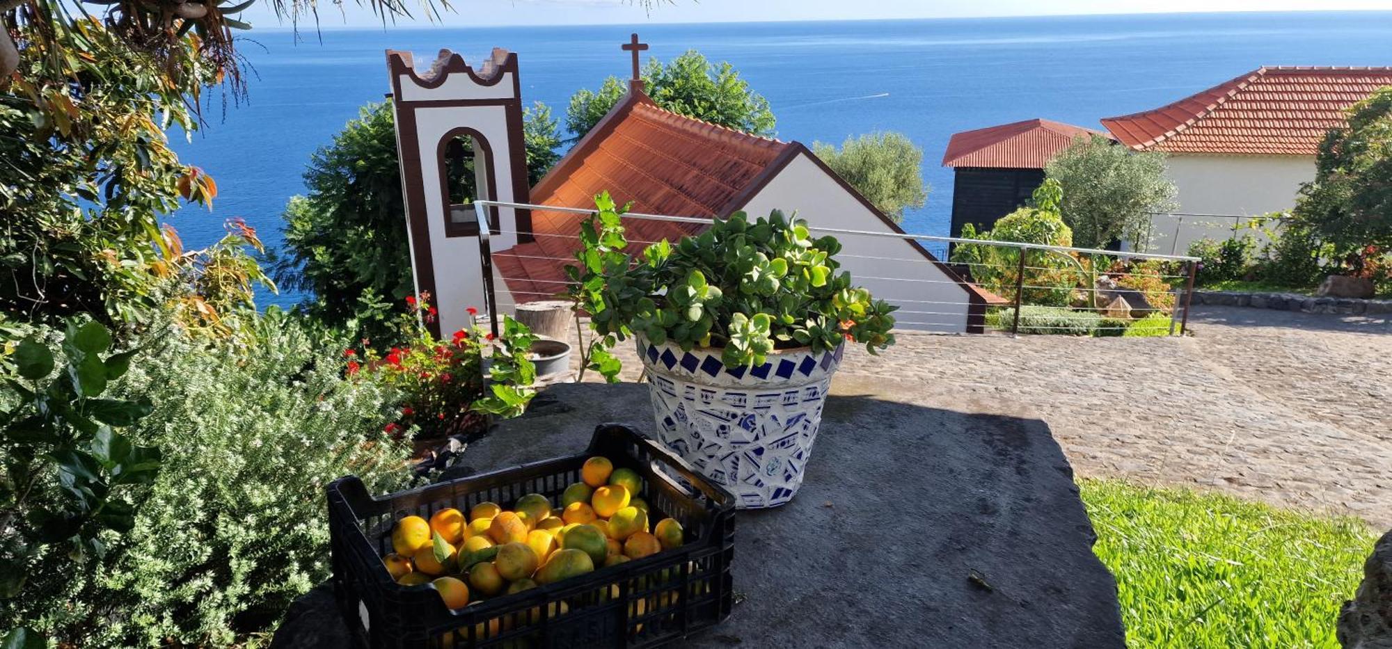 Torre Bella Gardens Villa Arco da Calheta  Exterior photo